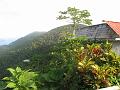 St Johns 2010 129